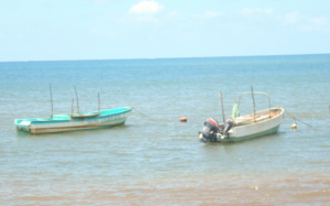 Type de bateaux de pêche mahorais