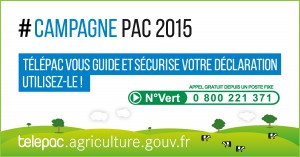 Un numéro vert et une plateforme internet pour faciliter les démarches