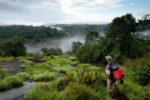 Parc amazonien de guyane ©Guillaume Feuillet